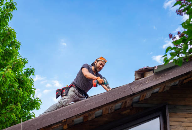 Trusted Harlem, FL Roofing service Experts