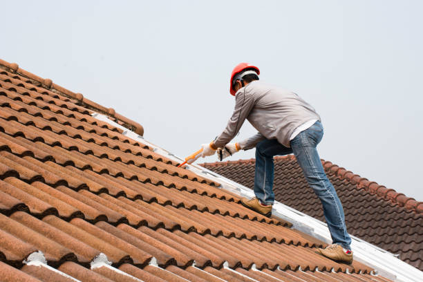 Best Roof Insulation Installation  in Harlem, FL